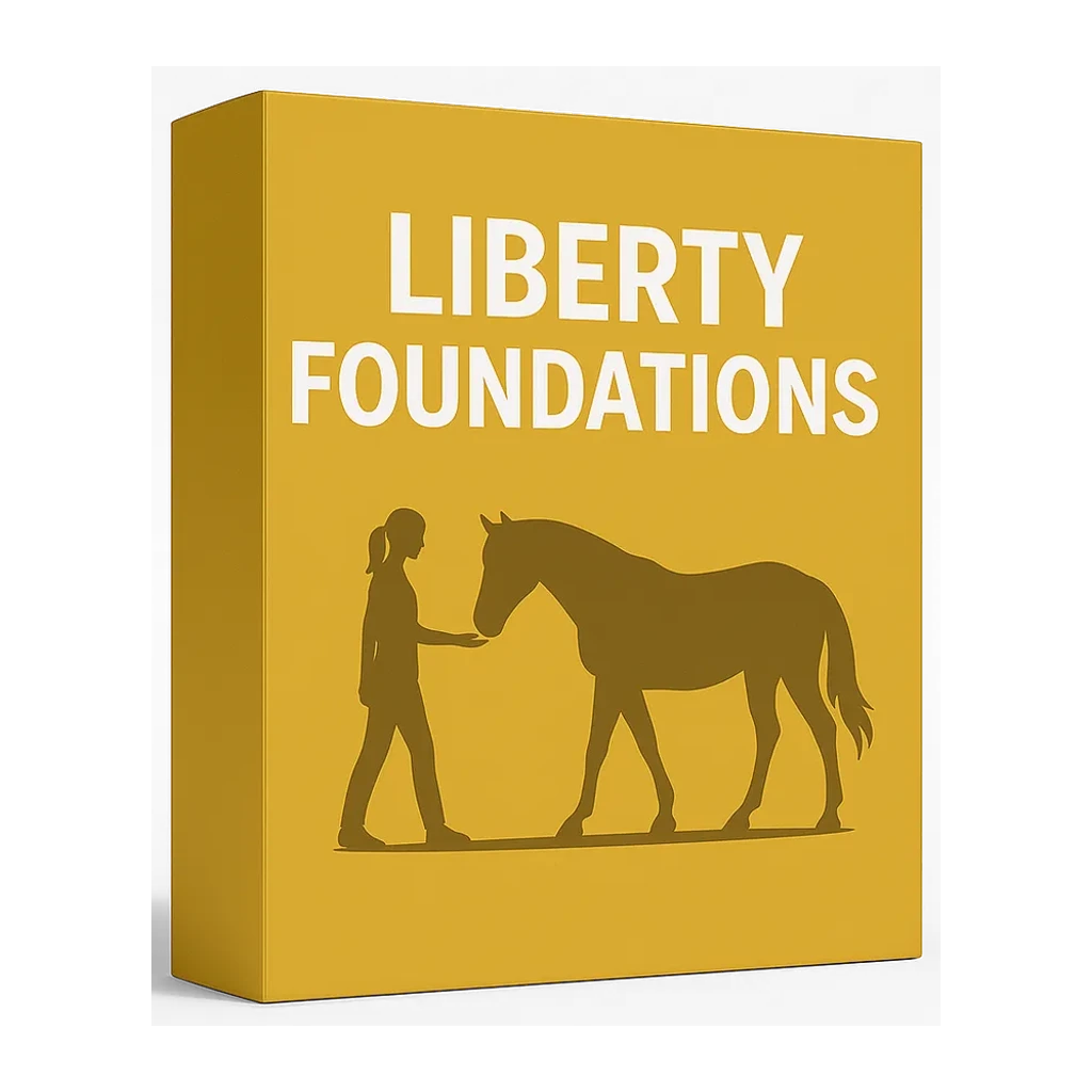 Liberty Foundations: Unlocking the Start box mockup